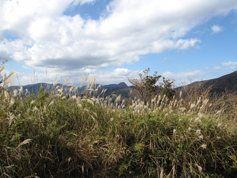 20181102hike (95)